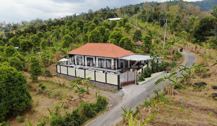 Villa With View Near Lovina Villa With View Near Lovina