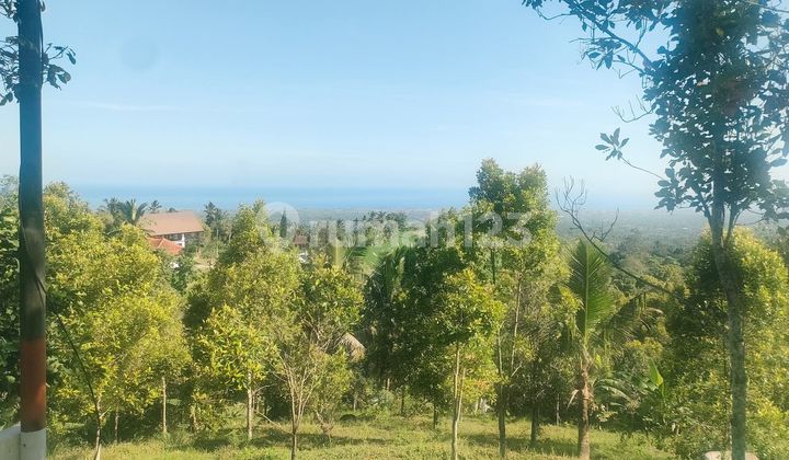 Land with Sea View in Singaraja Near Lovina Near Wisaga Aling Aling Waterfall Land with Sea View in Singaraja Near Lovina Near Wisaga Aling Aling Waterfall