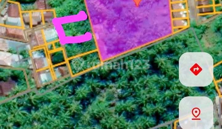 Suitable Land for Plots or Housing in Lovina, Buleleng, Bali