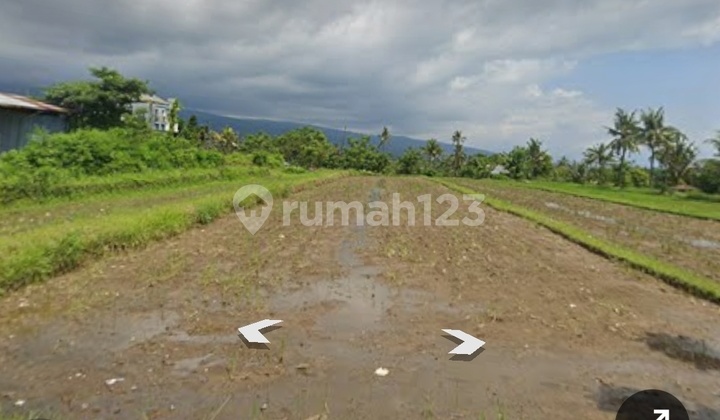 Rice Field Land Suitable for Residential Plots, Main Roadside, Panji Village, Singaraja. Rice Field Land Suitable for Residential Plots, Main Roadside, Panji Village, Singaraja.