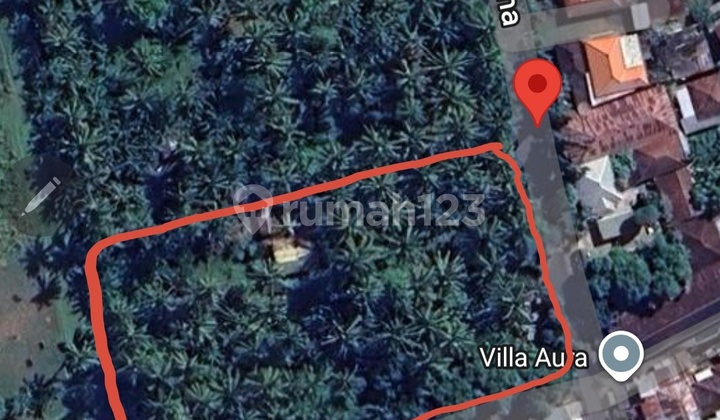 Tanah Cocok Kavling Villa Perumahan Di Central Lovina Dekat Pepito Kebun Kelapa