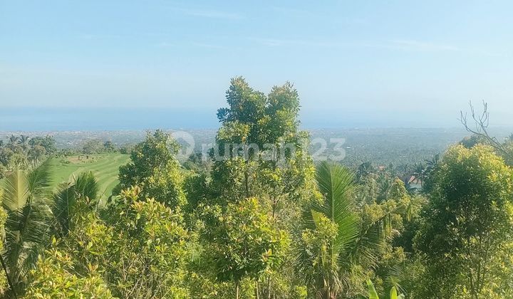 Land with Sea View in Singaraja Near Lovina Near Wisaga Aling Aling Waterfall Land with Sea View in Singaraja Near Lovina Near Wisaga Aling Aling Waterfall