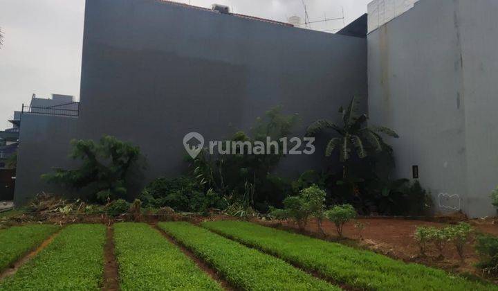 Tanah Kavling Murah di Sunter Agung Utara Jakarta Utara 2