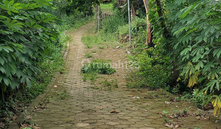 Tanah Sejuk Daerah Ranggamekar Pamoyanan Bogor Selatan 2