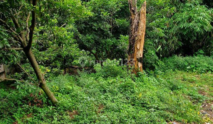 Tanah Sejuk Daerah Ranggamekar Pamoyanan Bogor Selatan 2