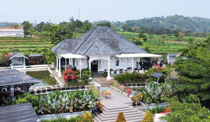 Cafe daerah pegunungan ,pemandangan bagus, fasilitas ok. Dijual 1