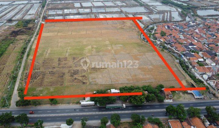 Tanah 5 hectare Di Main Road Jalan Pantura Raya Cirebon 1