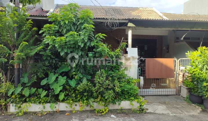 Rumah GriyaLoka BSD Hadap Timur dekat Pasar Modern dan Sekolah 1,5M Rumah GriyaLoka BSD Hadap Timur dekat Pasar Modern dan Sekolah 1,5M