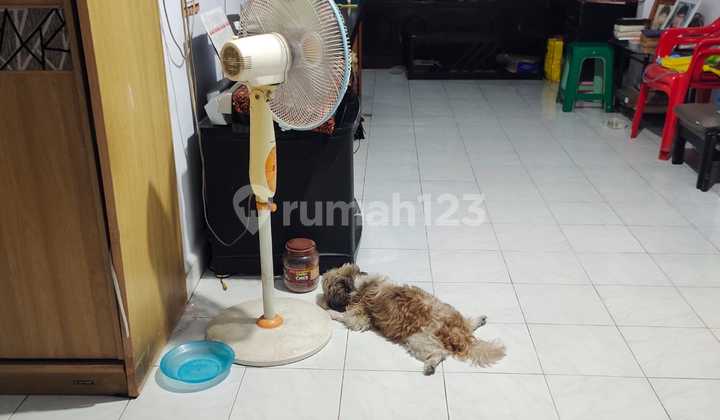Rumah GriyaLoka BSD Hadap Timur dekat Pasar Modern dan Sekolah 1,5M 2