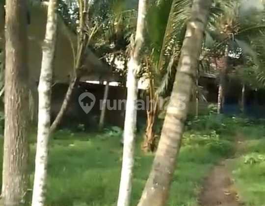 Pamarayan Serang Banten Land, Wide Access, Suitable for Warehouse Pamarayan Serang Banten Land, Wide Access, Suitable for Warehouse