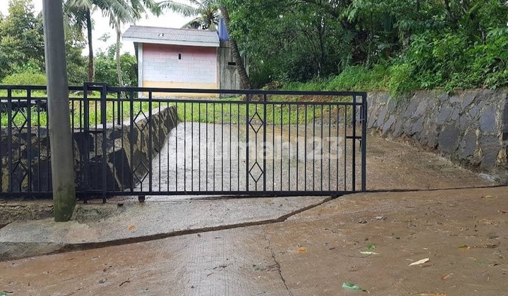 TANAH DI SERANG BANTEN, COCOK UNTUK KEBUN MUSANG KING