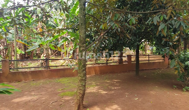 Large Land with Bonus House Building Size 300m2 Suitable for Townhouse Large Land with Bonus House Building Size 300m2 Suitable for Townhouse