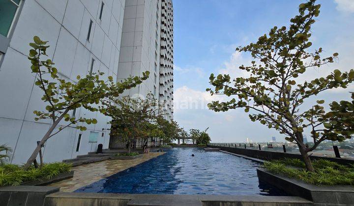 Disewakan Apartmen Tree Park 1Bed Room Cikokol 2