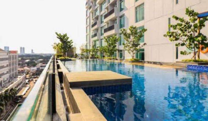 Disewakan Harian Apartemen Tree Park Bagus type studio  1