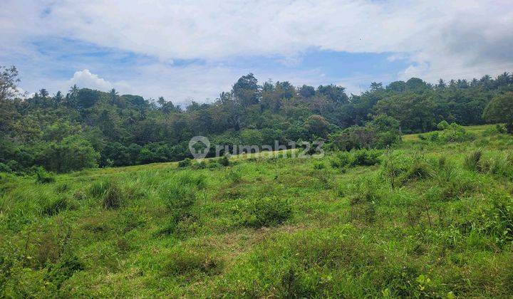 Dijual Cepat Tanah Industri Di Kema 1 Sulawesi Utara 1