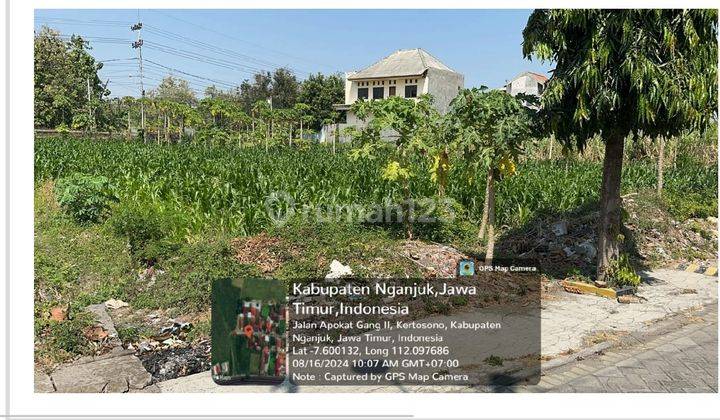  Tn024 Dijual Tanah Kosong di Jalan Apokat Ii, Kertosono 2