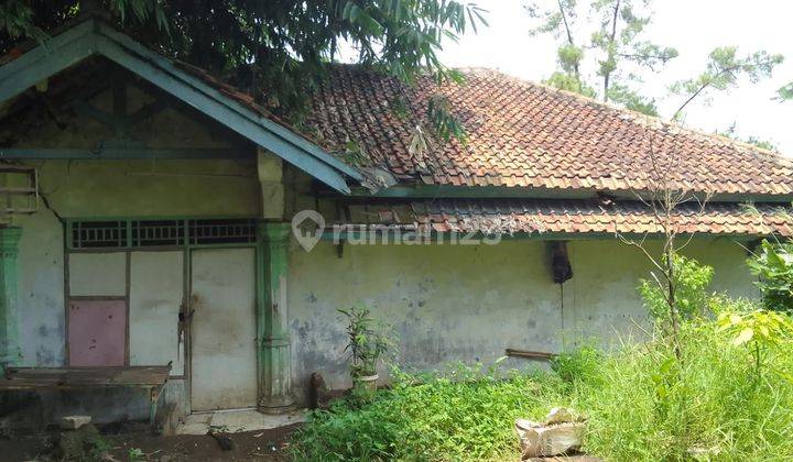  Tnc007 , Dijual Cepat, Tanah di Jalan Utama Parung 1