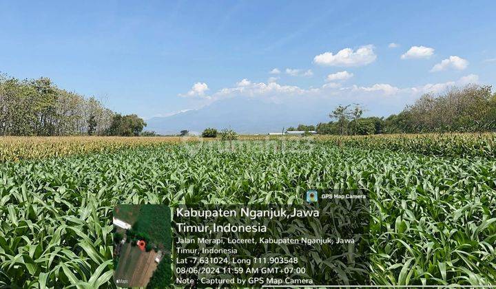  TN026 , Dijual Sebidang Tanah Sawah di Daerah Loceret, Nganjuk  1