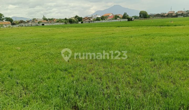 Tanah Luas Murah Strategis Di Rancaekek Bandung Siap Bangun 2