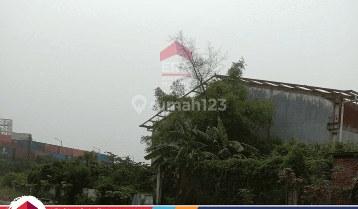 Jual Dibawah Njop Gudang 4300m Marunda Cilincing Dekat Priok Jakarta 2