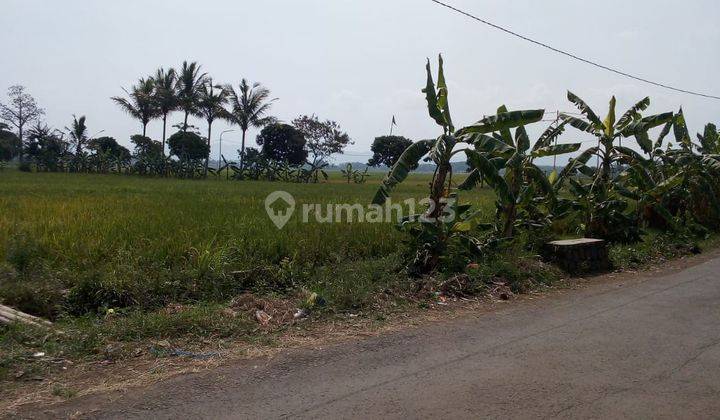 Tanah Strategis Dekat Ke Pasar di Awi Larangan, Cihampelas 1