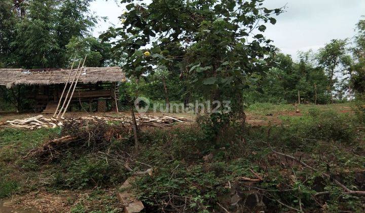 Tanah Cocok Untuk Pembudidayaan Tanaman di Cianjur 1