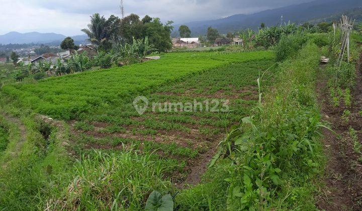 Tanah Cocok Dibangun Villa Dan Perumahan di Panundaan, Ciwidey 1