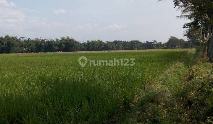 Tanah Strategis Dekat Ke Pasar di Awi Larangan, Cihampelas 2