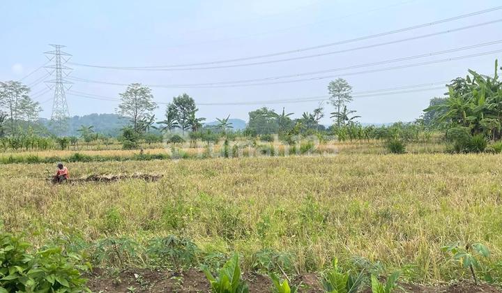 Pringapus Plot, Semarang Regency (yh) 2