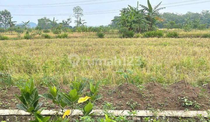 Pringapus Plot, Semarang Regency (yh) 1