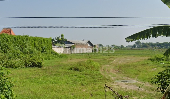 Tanah Industri Jalan Raya Semarang Purwodadi