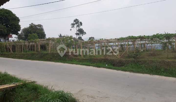 Tanah Luas ada Kolam Ikan Murah di Kawasan Wisata Ciwidey Tanah Luas ada Kolam Ikan Murah di Kawasan Wisata Ciwidey