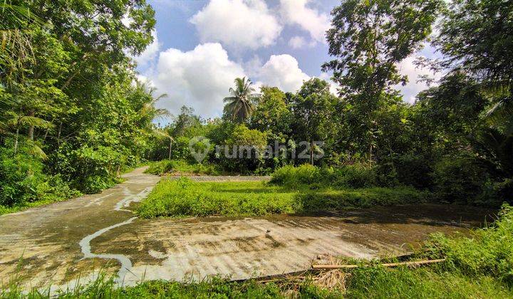 Dekat Stadion Cangkring Kulon Progo, Murah 700 Rb M2 2