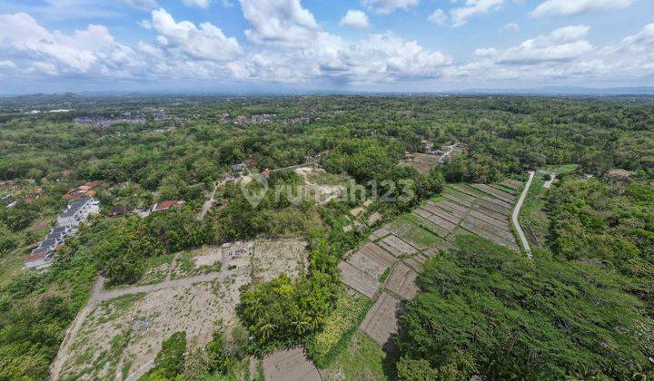 Nego Sampai Deal Tanah Prospek di Balecatur Jogja Kawasan Perum 2