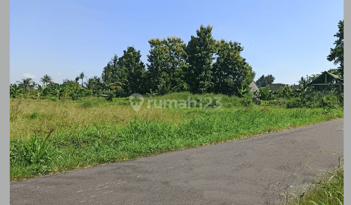 Tanah Murah Jogja, 300 Jtan, Tepi Aspal, Area Jl Kaliurang Km 10  2