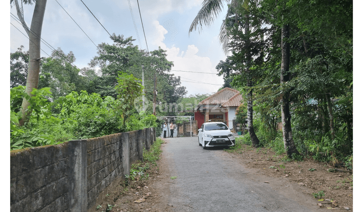 Tanah Cocok Huni, Murah Area Padat Penduduk Kalasan Jogja  2