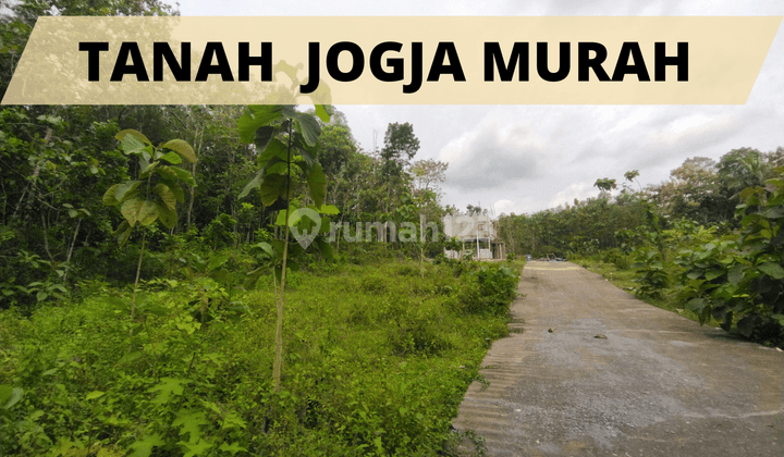 Tanah Jogja Murah, Cocok Huni Inves, Panjatan Kulon Progo 2