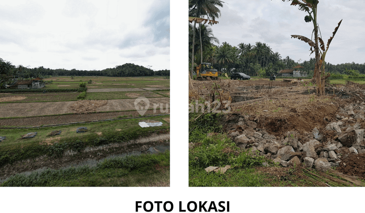 Tanah View Sawah Cocok Villa, Strategis Utara Bandara Yia 2