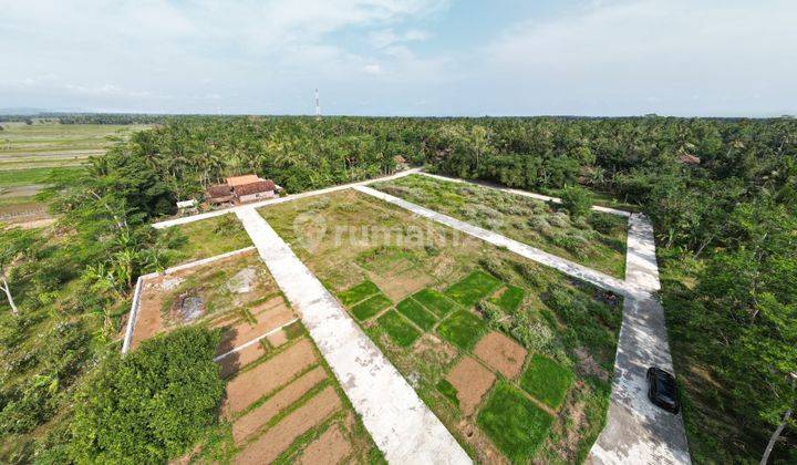 Tanah Siap Bangun Purworejo Dekat Bandara Yia, SHM Pekarangan 1