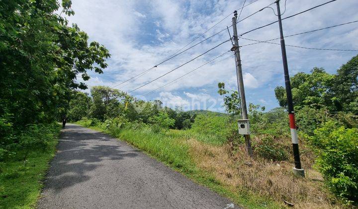 Tanah Villa Balecatur Jogja, Cocok,buat Kavling, Investasi 1