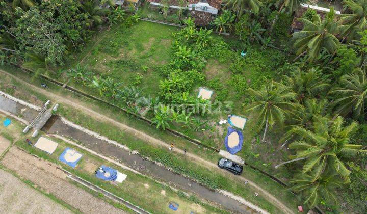 Tanah Temon Kp, Utara Bandara Yia Jogja, 100 Juta An 1