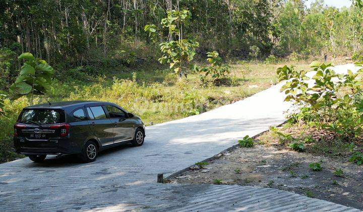 Tanah Jogja Barat Dekat Polsek Panjatan, SHM Balik Nama Murah 2