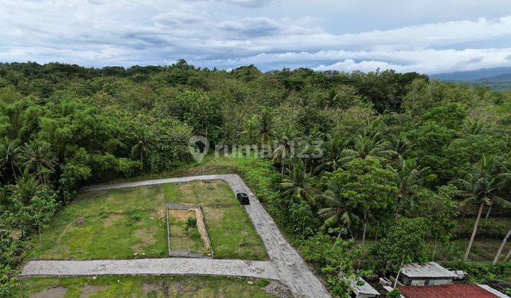 Tanah Siap Ajb Jogja Barat, Timur Patung Kuda Wates  2