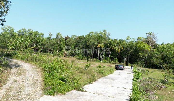 Tanah Siap Bangun Jogja Barat, 700rb M Dekat Patung Kuda Wates 1