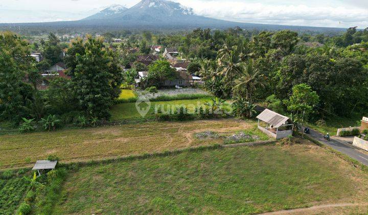 Tepi Aspal, Tanah Jogja Utara Stadion Maguwoharjo 3 Jt An 2