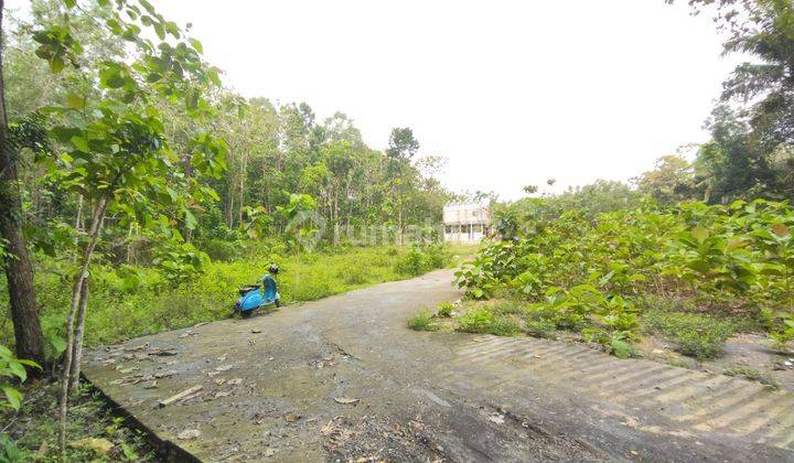 Tanah Hunian Jogja Murah, Strategis Area Kulon Progo 2