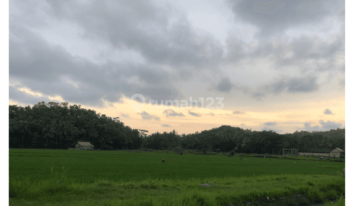 Jual Tanah View Alam Jogja, Asri Nyaman Huni, SHM 2