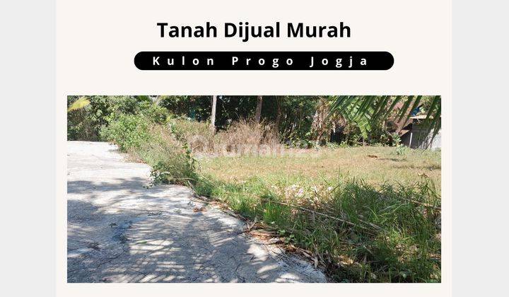 Jual Tanah Murah Jogja, SHM Cocok Huni, Area Kulon Progo 1