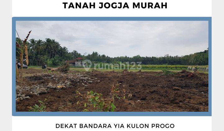 Dekat Jl Wates-Purworejo, Tanah SHM Dijual, Strategis Murah 1