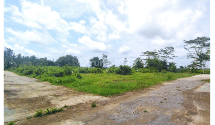 Tanah Murah Jalur Selatan Jogja Purworejo, Daendels  2